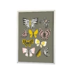 Littlephant 50 x 70cm Gray Butterfly Family Graphic Print