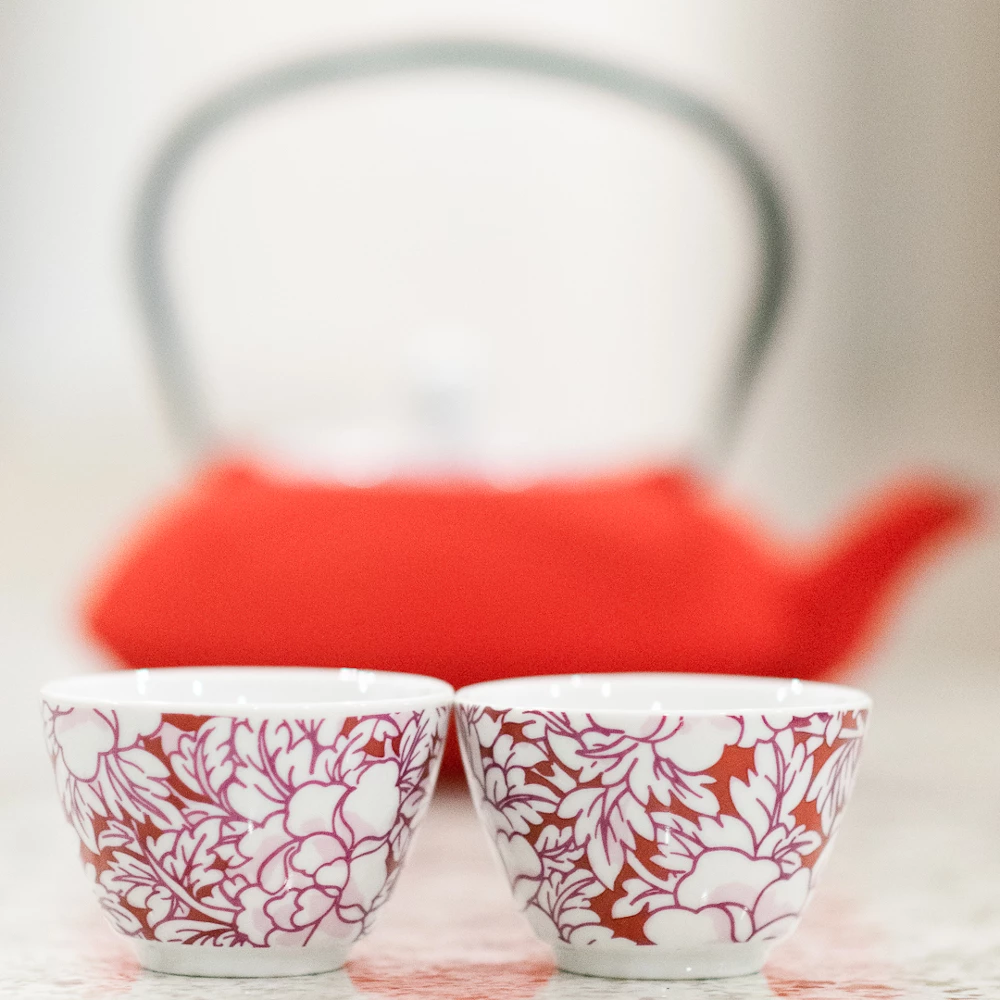 Bredemeijer Teapot Yantai Cast Iron 1 2 L With Porcelain Lid In Red 7 Bredemeijer Teapot Yantai Cast Iron 1 2 L With Porcelain Lid In Red
