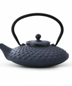 Bredemeijer Blue Iron Cast Design Xilin Teapot