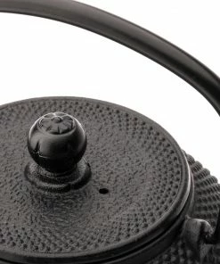 Bredemeijer Black Iron Jang Cast Teapot